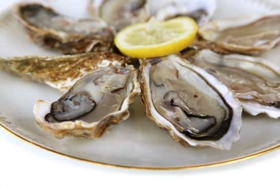 oysters Food Origin hong kong